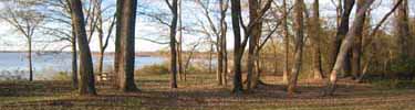 Trees line edge of body of water, Bell detachment route and Water Route, Pularm Park, Faulkner County, Arkansas